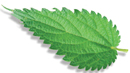 Green Printing Practices image